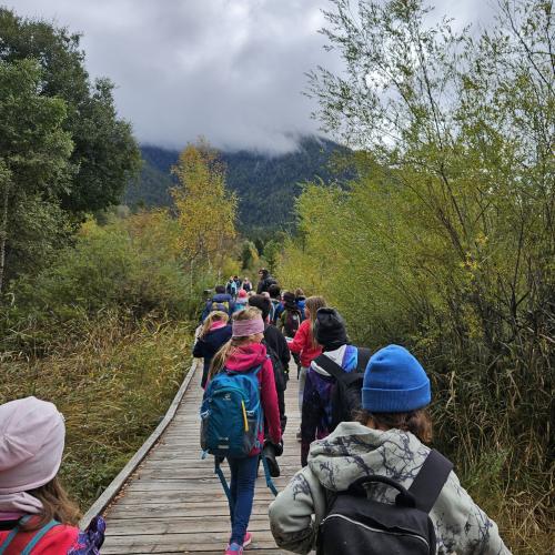 Auf dem Heimweg in den Wäldern zwischen Seefeld und Reith