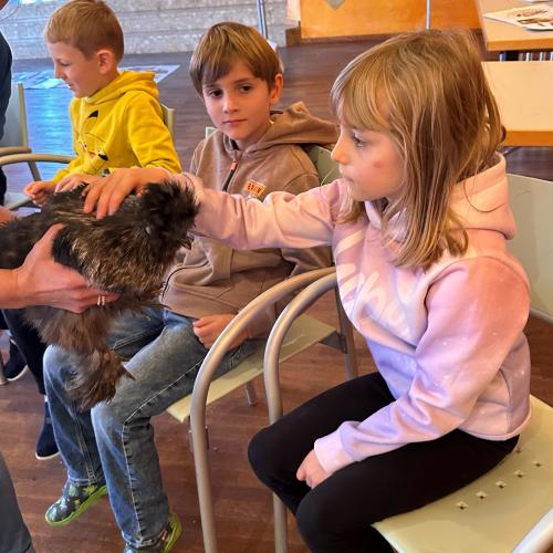 Kinder dürfen die Hühner streicheln
