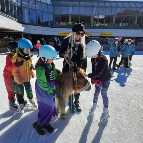 Ein Pony auf dem Eis
