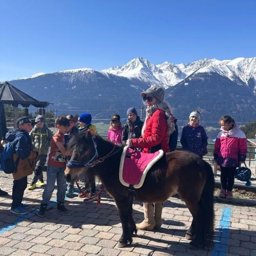 Kinder stehen im Halbkreis um zwei Ponys