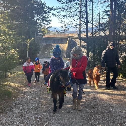 Ein Kind reitet auf dem Pony 