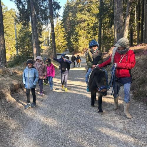 Ein Kind reitet auf dem Pony, andere Kinder laufen nebendran